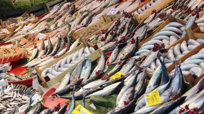 Palamutta da hile! Farkları tek tek sıraladık: Balıkçılar vatandaşı kandırıyor! 10